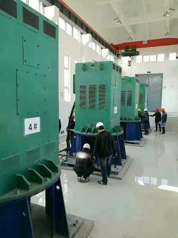 肃南某污水处理厂使用我厂的立式高压电机安装现场